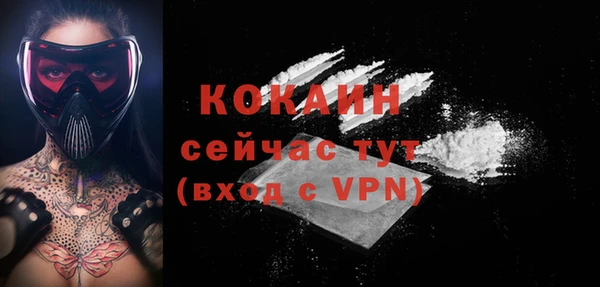 гашик Верея