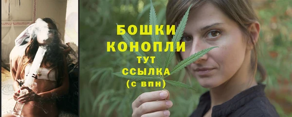 гашик Верея