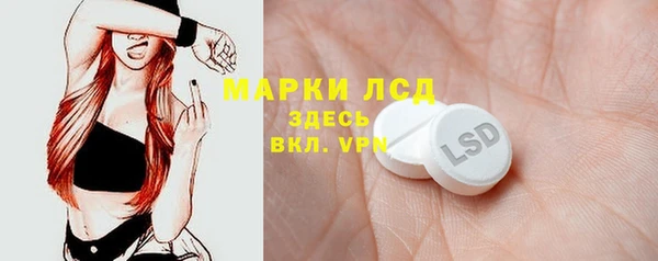 гашик Верея