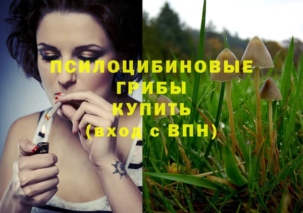 гашик Верея