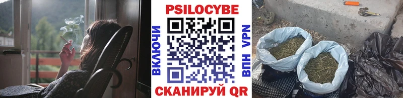 Купить где  Нерюнгри  Псилоцибиновые грибы мухоморы 